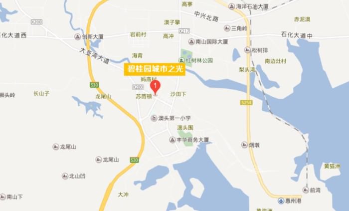碧桂园城市之光 