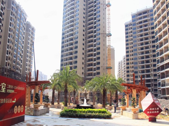 夏日南庭实景图 