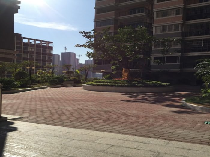中富大厦(海豚湾一号) 