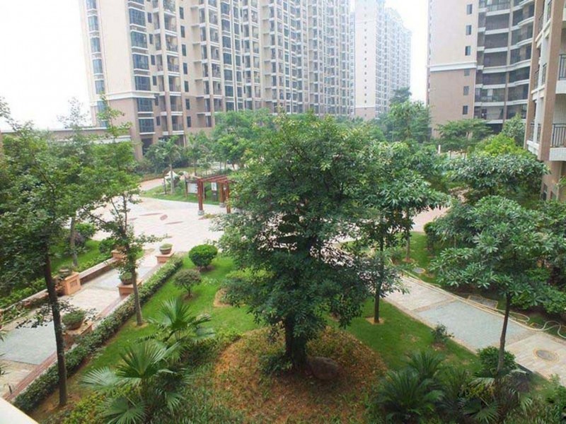 德洲城实景图 
