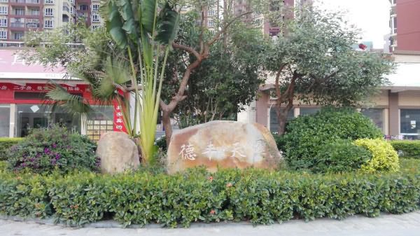 德丰天汇花园实景图 