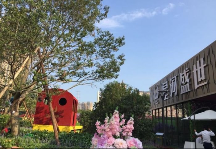 星河盛世名居实景图 