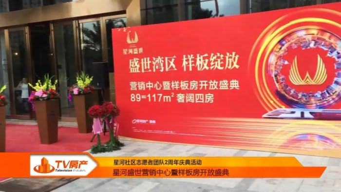 星河盛世名居实景图 